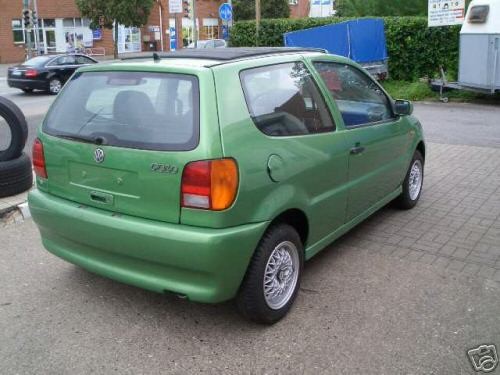 Polo 6n1 6n2 - 6n1, lupo